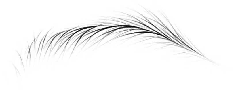 イメージイラスト